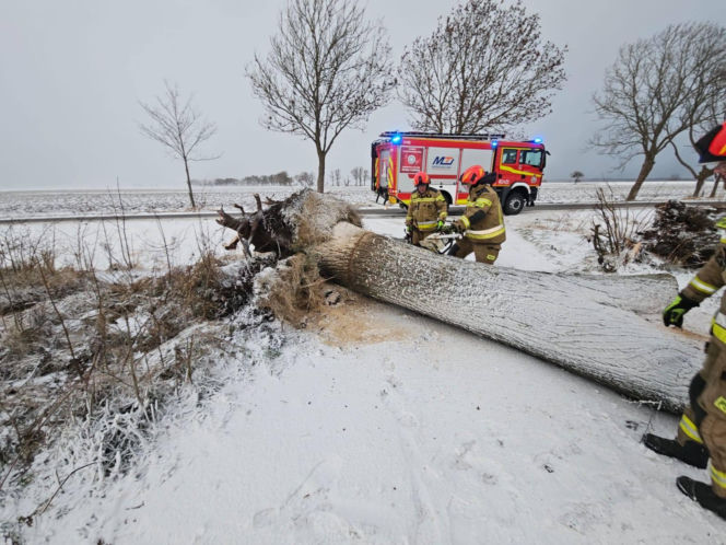 Wichura zniszczyła zabytkową kapliczkę przy sanktuarium