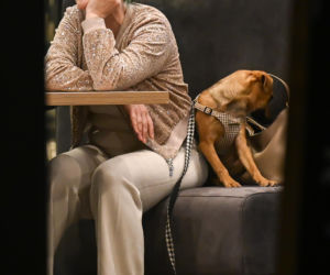 Monika Richardson z dzieckiem i pieskiem