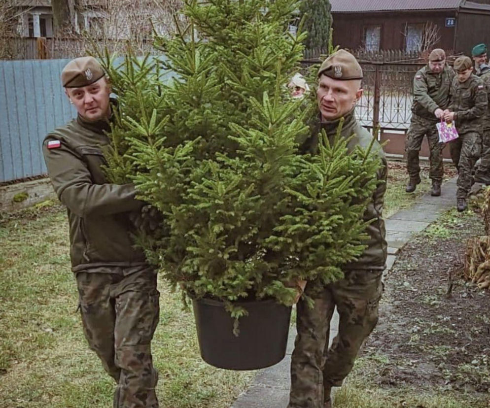 Choinka dla kombatanta