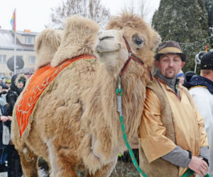 Orszak Trzech Króli w Siemiatyczach 2020