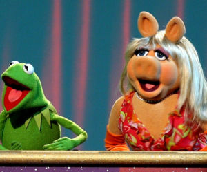 Szok!!! Kermit i Piggy się rozwodzą