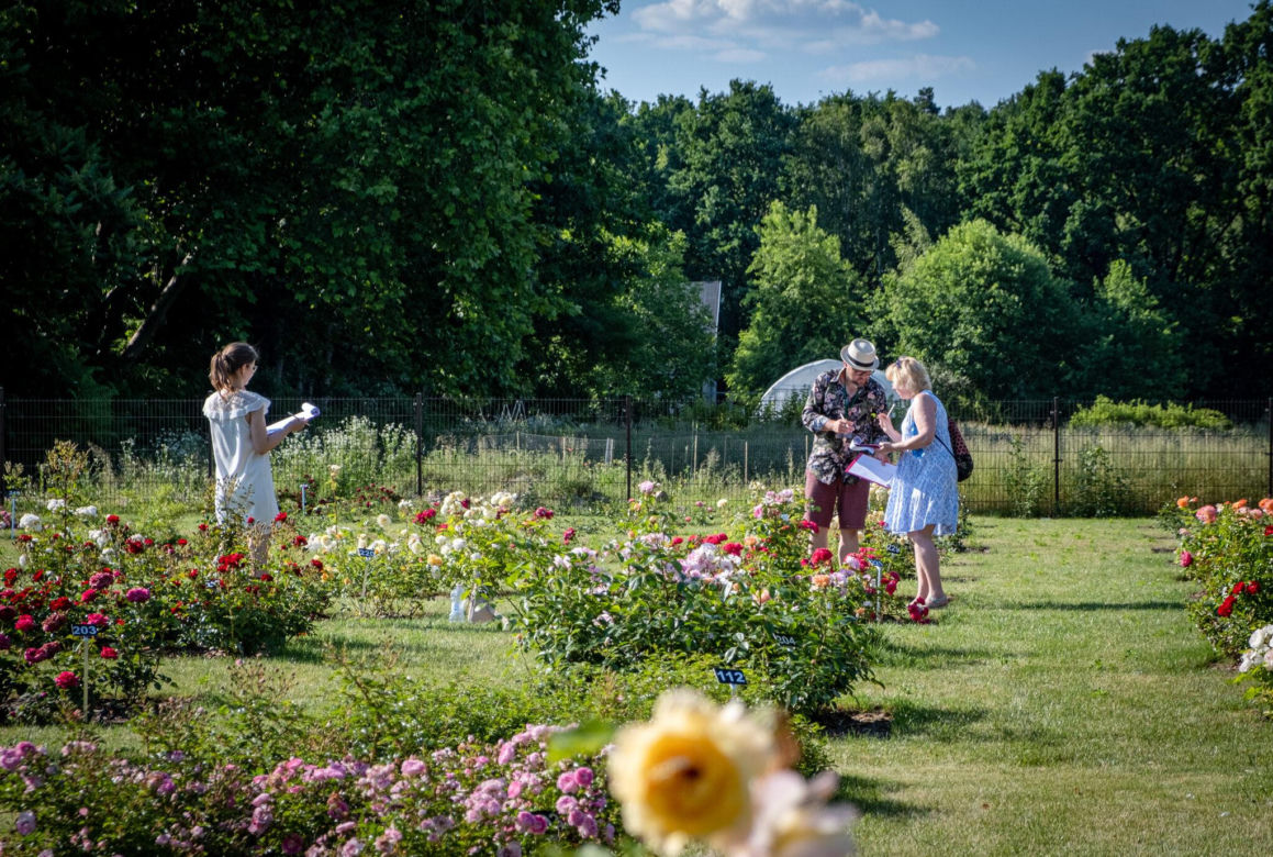 Ogród Botaniczny PAN w Powsinie