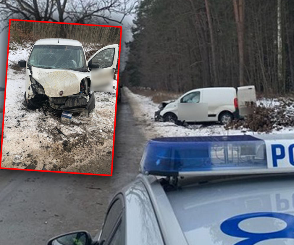 Na prostej drodze wjechała w drzewo