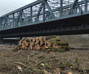 Skandal! Po co ta dewastacja? Wycięto mnóstwo starych drzew nad Wisłą