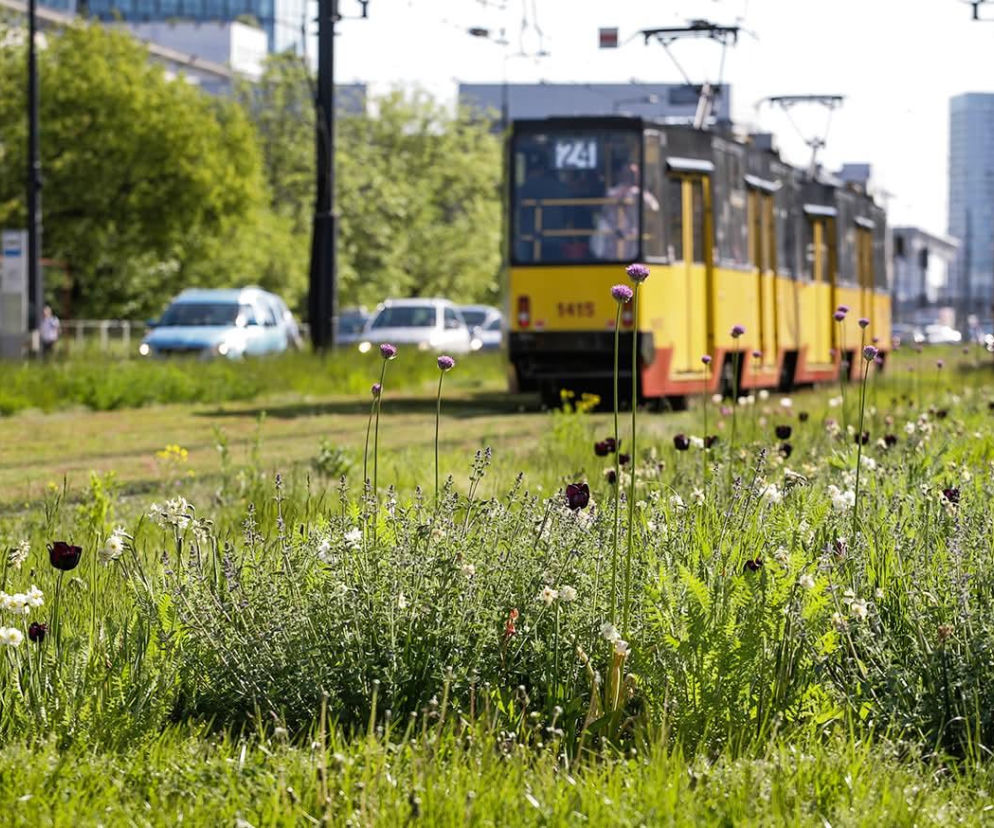 Tramwaj w Alejach Jerozolimskich