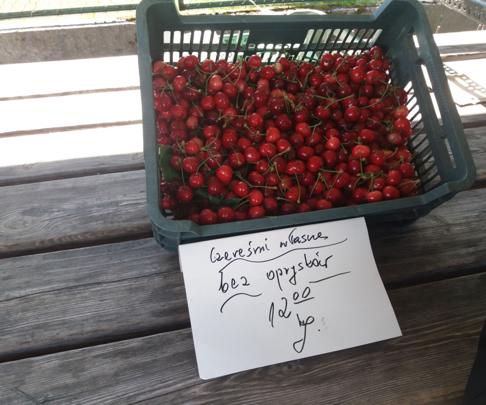 Międzyrzecz 