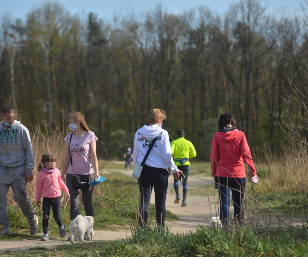 Majówka 2020 w czasach koronawirusa. Sposoby na spędzenie wolnego czasu.  Co i gdzie można robić? Co można, czego nie wolno?