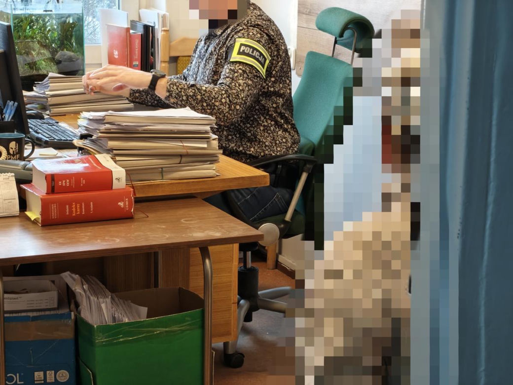 Szukali ekshibicjonisty, a znaleźli pedofila! 49-latek odpowie za obrzydliwe czyny