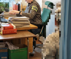 Szukali ekshibicjonisty, a znaleźli pedofila! 49-latek odpowie za obrzydliwe czyny