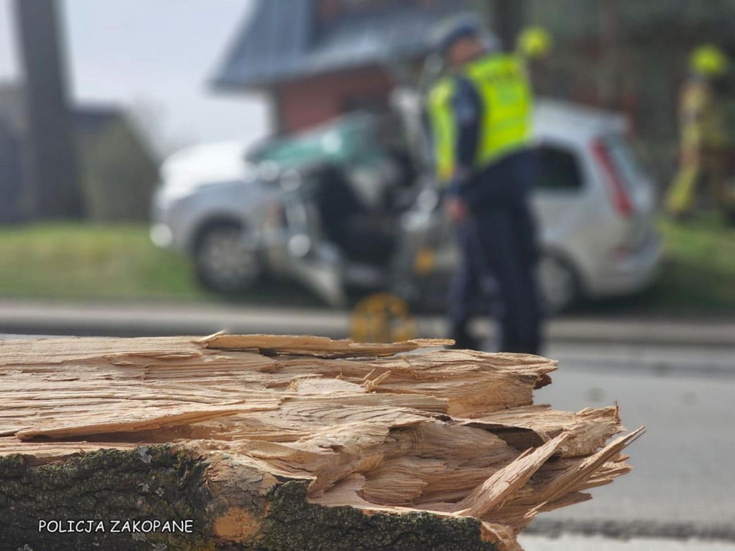 Tragedia w Zakopanem. Basia zginęła, jej pies przeżył