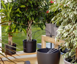 Automatyczna konewka Gardena