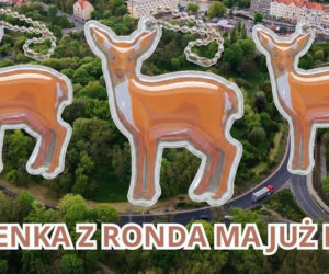 Rondzia wygrała! Głogowska sarenka ma już swoje imię