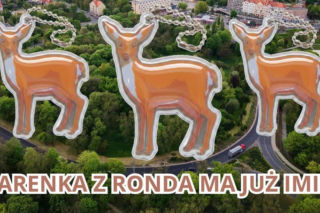 Rondzia wygrała! Głogowska sarenka ma już swoje imię