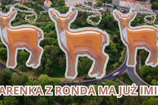Trzy pomarańczowe odblaski w kształcie sarenki z łańcuszkiem, zawieszone na tle zielonego ronda i zabudowań miasta Głogów. Grafika informuje o imieniu Rondzia dla sarenki, o czym można przeczytać na naszym portalu.