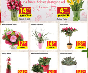 Dzień Kobiet w Biedronce i Lidlu