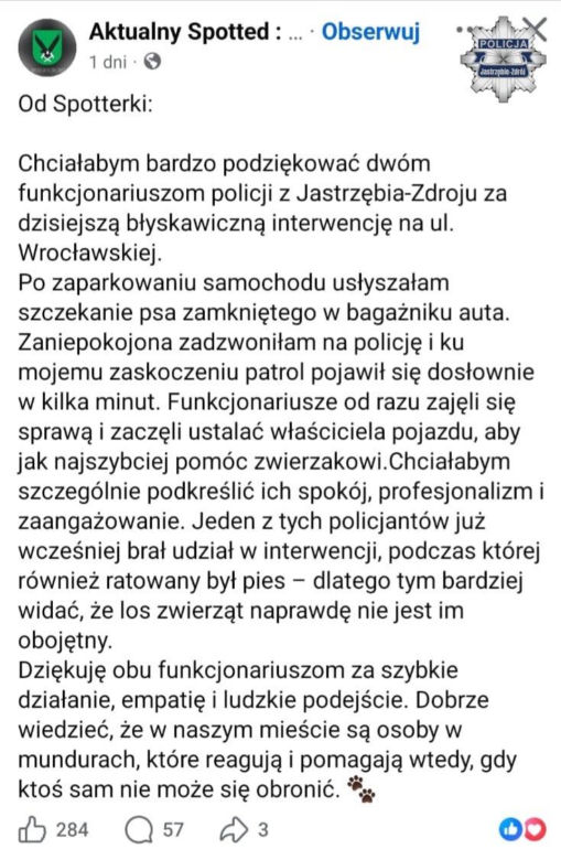 Uratowany pies