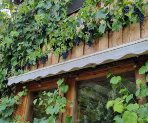 Inn Vivo - ekologiczny dom koło Szczecina