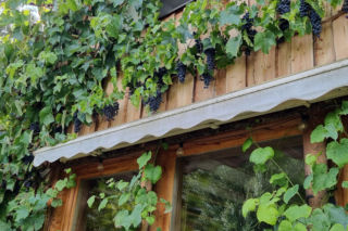 Inn Vivo - ekologiczny dom koło Szczecina