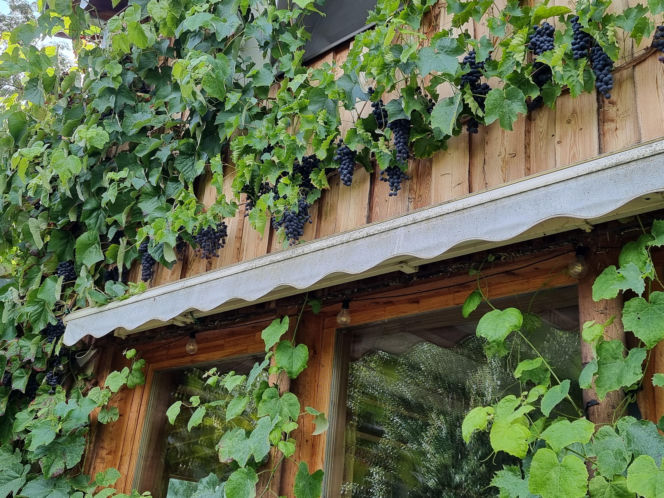 Inn Vivo - ekologiczny dom koło Szczecina