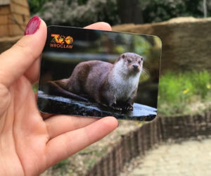 Wydry zoo Wrocław