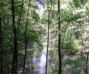 Park Tysiąclecia w Toruniu czekają spore zmiany