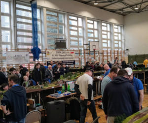 Wystawa Makiet Kolejowych w Szczecinie