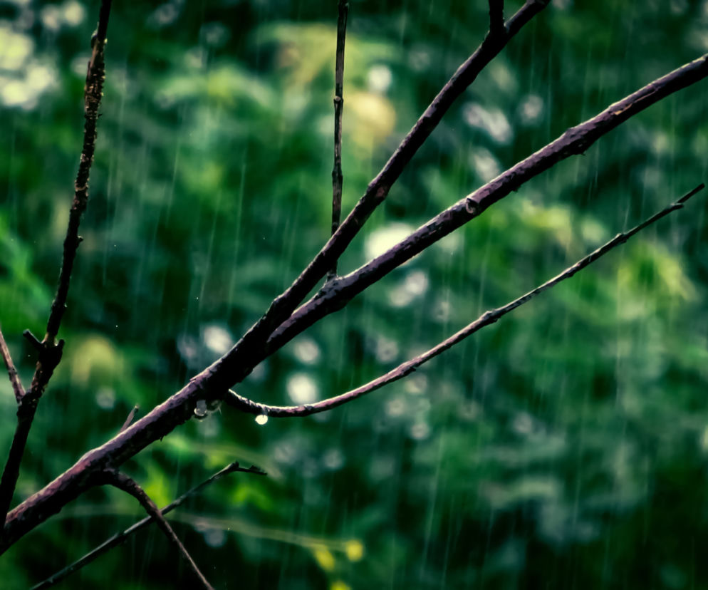 Przygotujcie się na ZAŁAMANIE POGODY! Meteorolodzy mają fatalne wieści