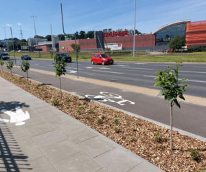 Bydgoszcz. Kończy się budowa drogi rowerowej na ulicy Focha. Kiedy będzie gotowa?