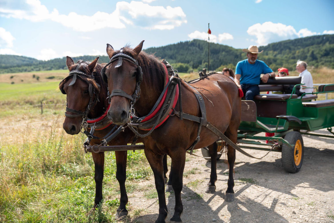 Gorlice – magiczne wrota do Beskidu Niskiego. Co warto zobaczyć?