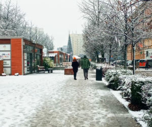 Pierwszy śnieg w Szczecinie