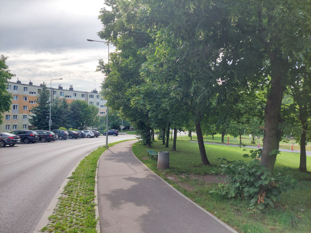 Starachowice: Ponad 200 drzew do usunięcia pod ścieżki rowerowe?  Wiemy gdzie