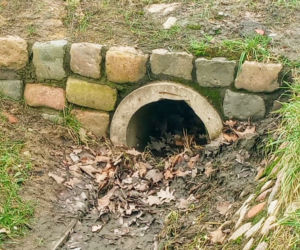 Ulica Cukrowa w Szczecinie to prawdziwy koszmar kierowców