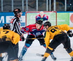 GKS Katowice - KH Energa Toruń, zdjęcia z Satelity