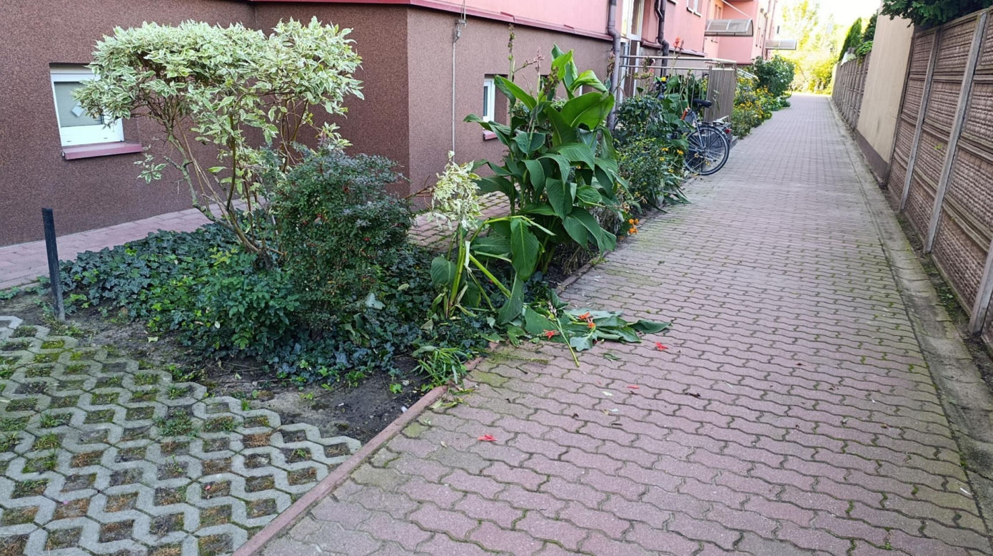 Niewiarygodne! 22-latek skoczył z drugiego piętra i uciekł do mieszkania. Co się stało w Siedlcach?