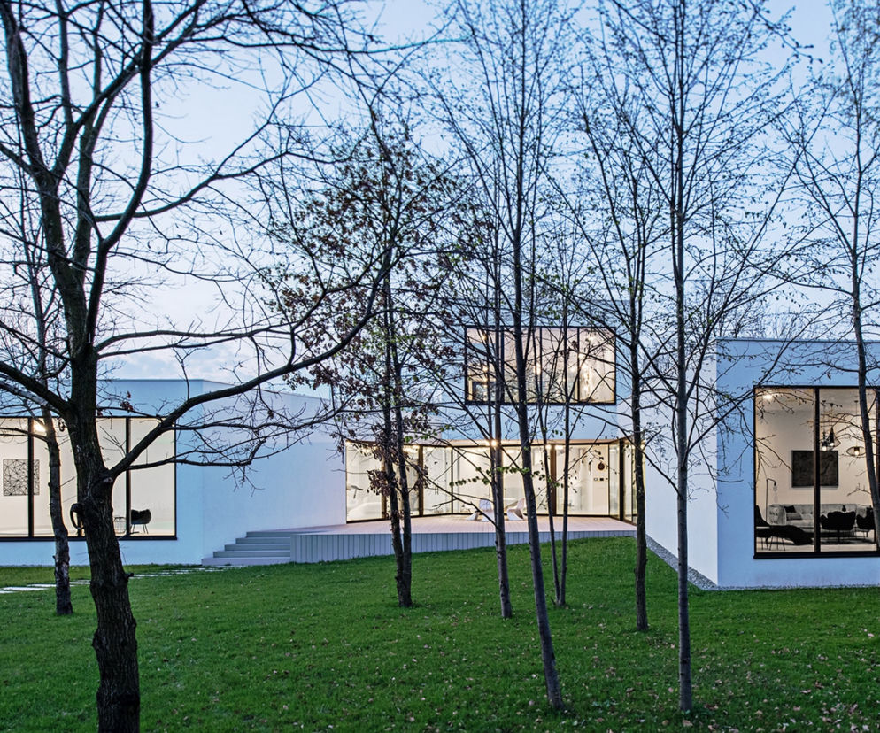 Dom V-House w Pyskowicach