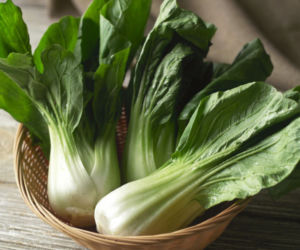 Kapusta pak choi