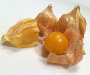 Miechunka jadalna