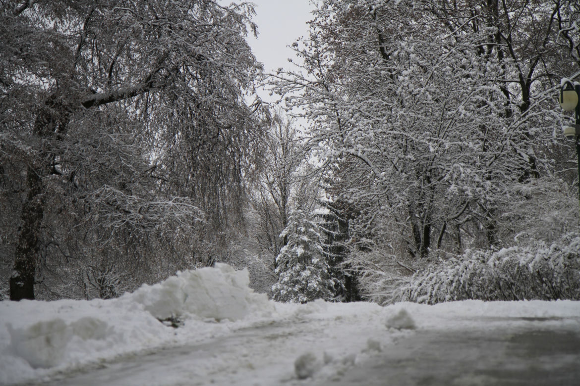 Pierwszy śnieg w Ogrodzie Saskim w Lublinie w tym sezonie!