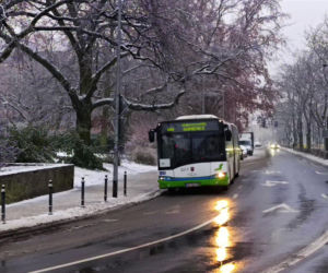 Atak zimy w Szczecinie