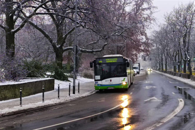 Atak zimy w Szczecinie