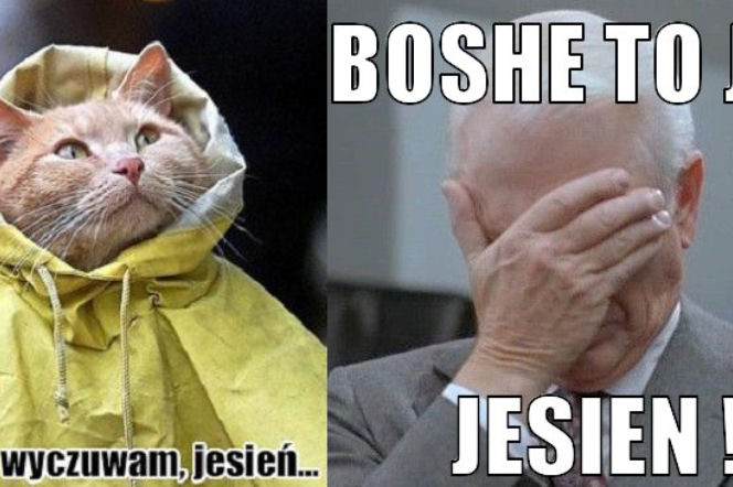 Jesień  - przykładowe memy