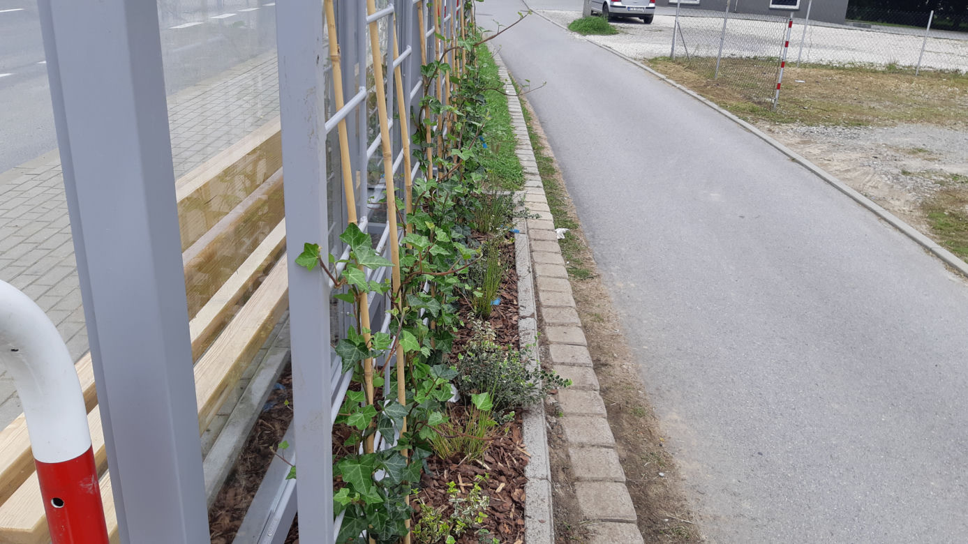 Tarnów ma swoje zielone przystanki! Zobacz jak wygladają!
