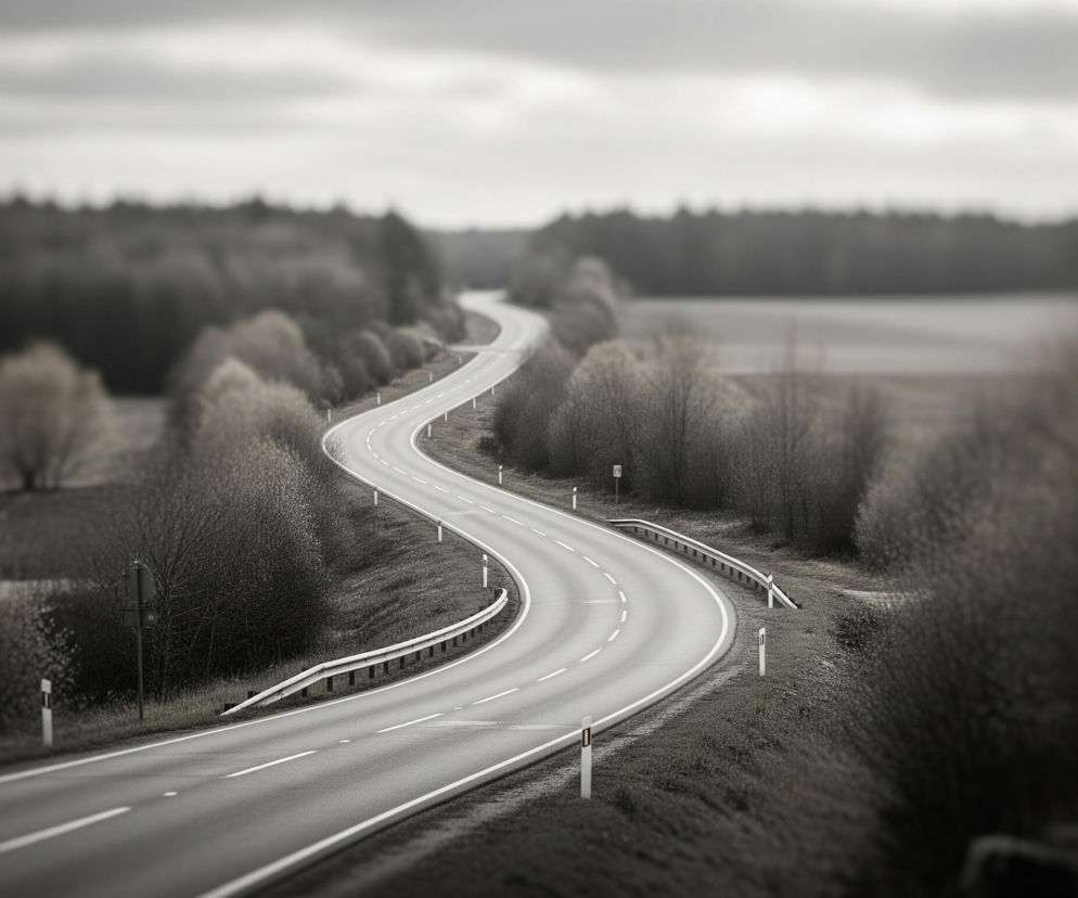 Falista, asfaltowa droga biegnie przez centralną część obrazu w kierunku horyzontu, otoczona po obu stronach bujną roślinnością. Kolorystyka zdjęcia jest monochromatyczna, z dominującymi odcieniami szarości, czerni i bieli. Po lewej stronie drogi widoczna jest barierka ochronna, a wzdłuż jej krawędzi rozmieszczone są białe słupki drogowe z pomarańczowymi odblaskami. Tło stanowi las i pola, częściowo rozmyte, co nadaje zdjęciu głębi i podkreśla główny obiekt.