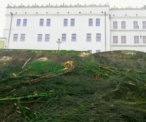 Drzewa zniknęły ze skarpy pod Zamkiem Książąt Pomorskich