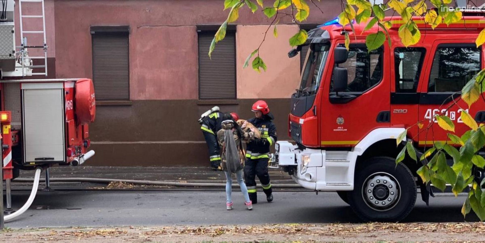 Piesek uratowany z pożaru