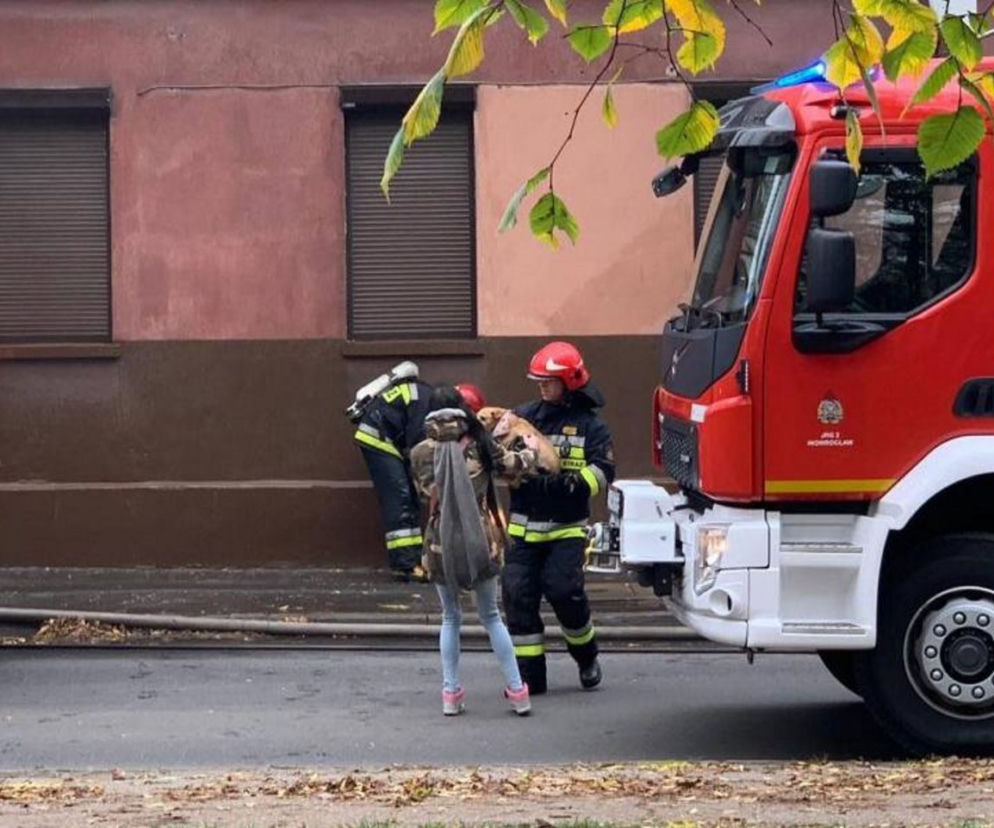 Piesek uratowany z pożaru