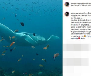Omenaa Mensah nurkuje w Indonezji, zobacz kogo spotkała pod wodą