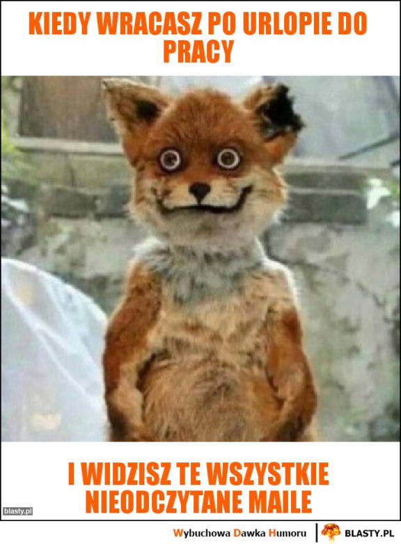 Urlop: memy