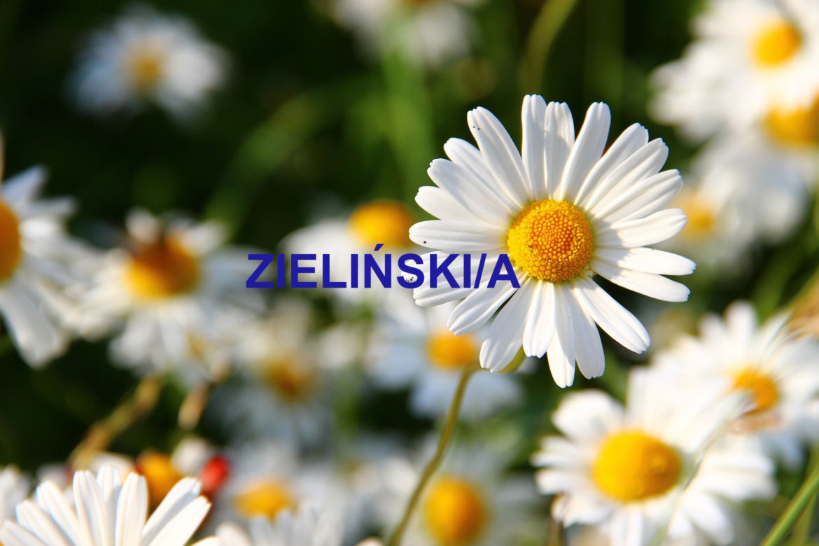 ZIELIŃSKI/A