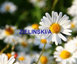 Najpopularniejsze nazwiska 2021 w Polsce. Które występują najczęściej? 